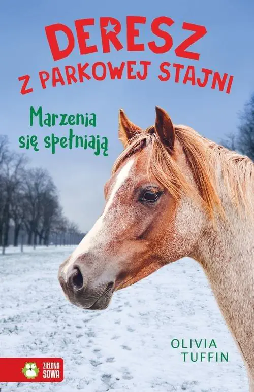Książka - Marzenia się spełniają. Deresz z parkowej stajni. Tom 4