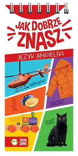 Książka - Jak dobrze znasz język angielski?