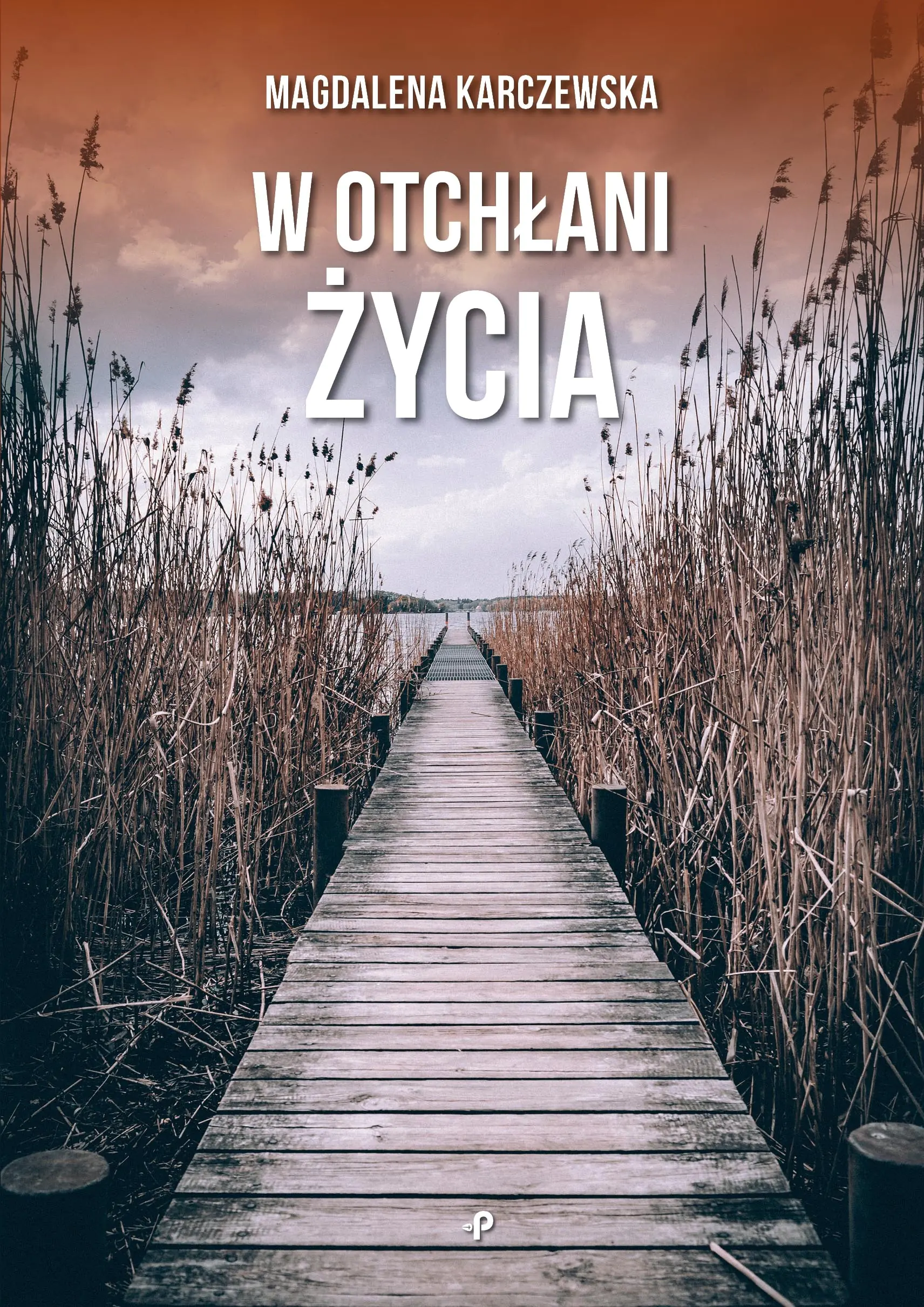 Książka - W otchłani życia