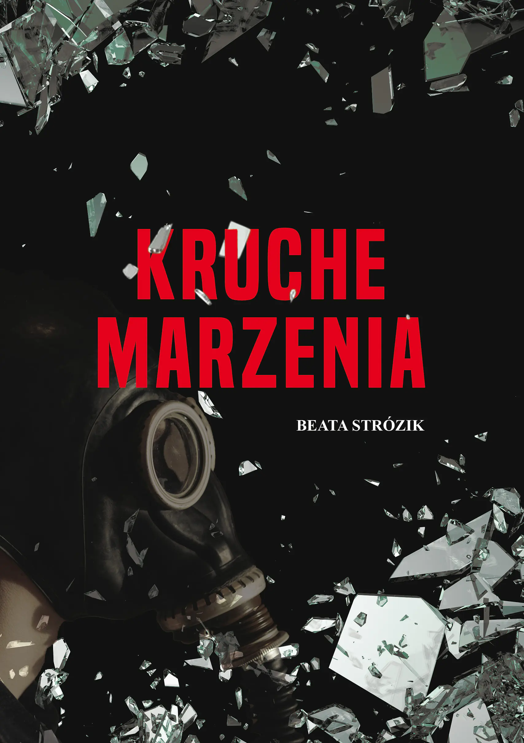 Książka - Kruche marzenia