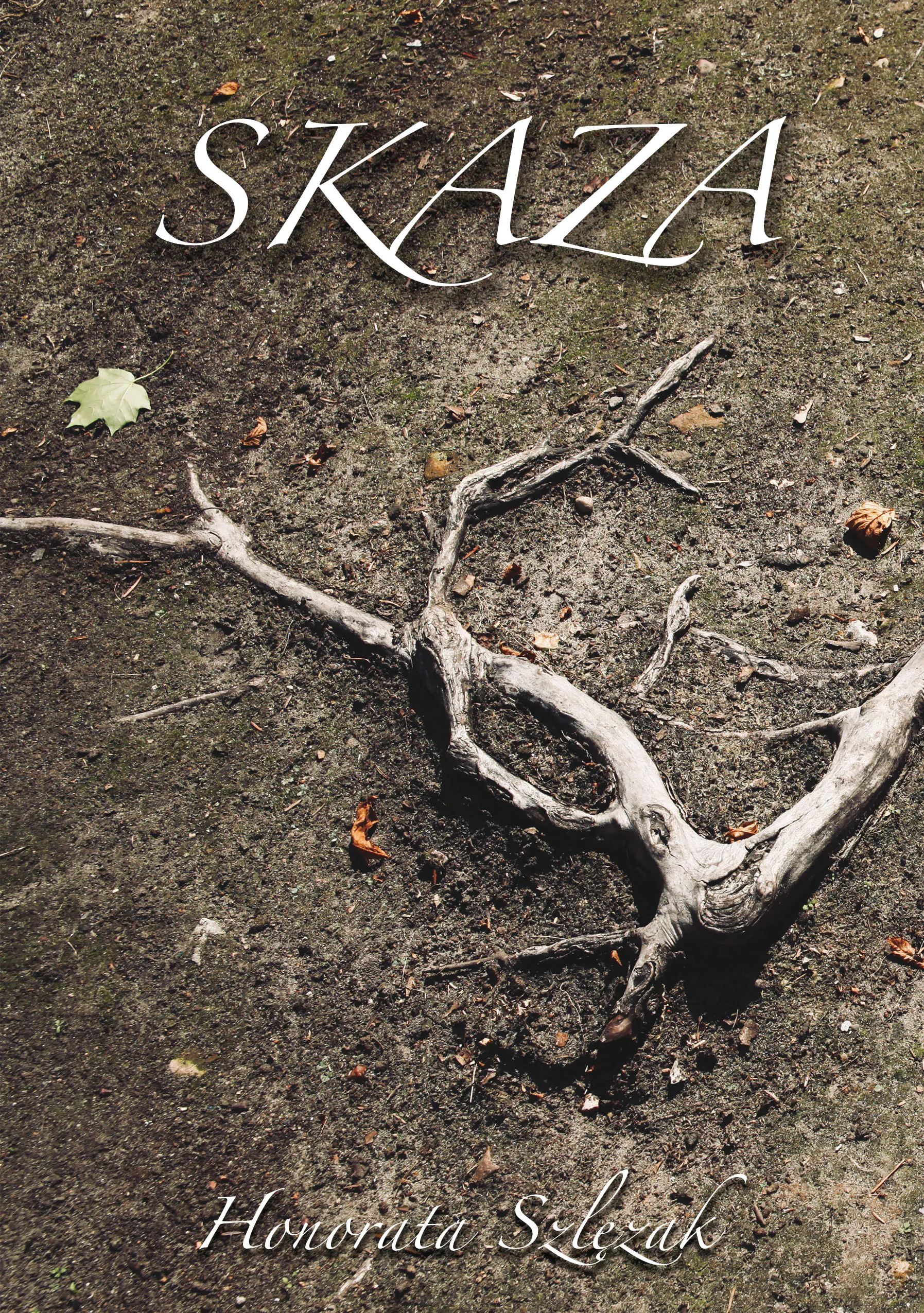 Książka - Skaza