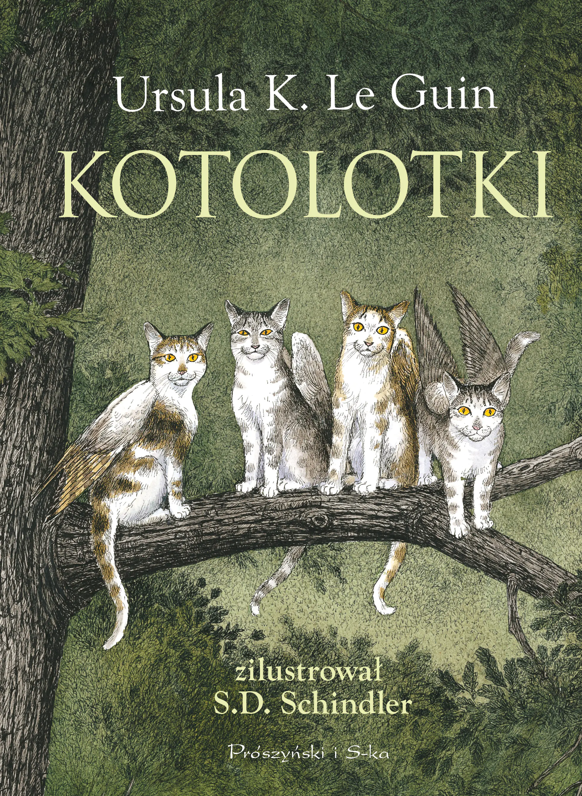 Książka - Kotolotki