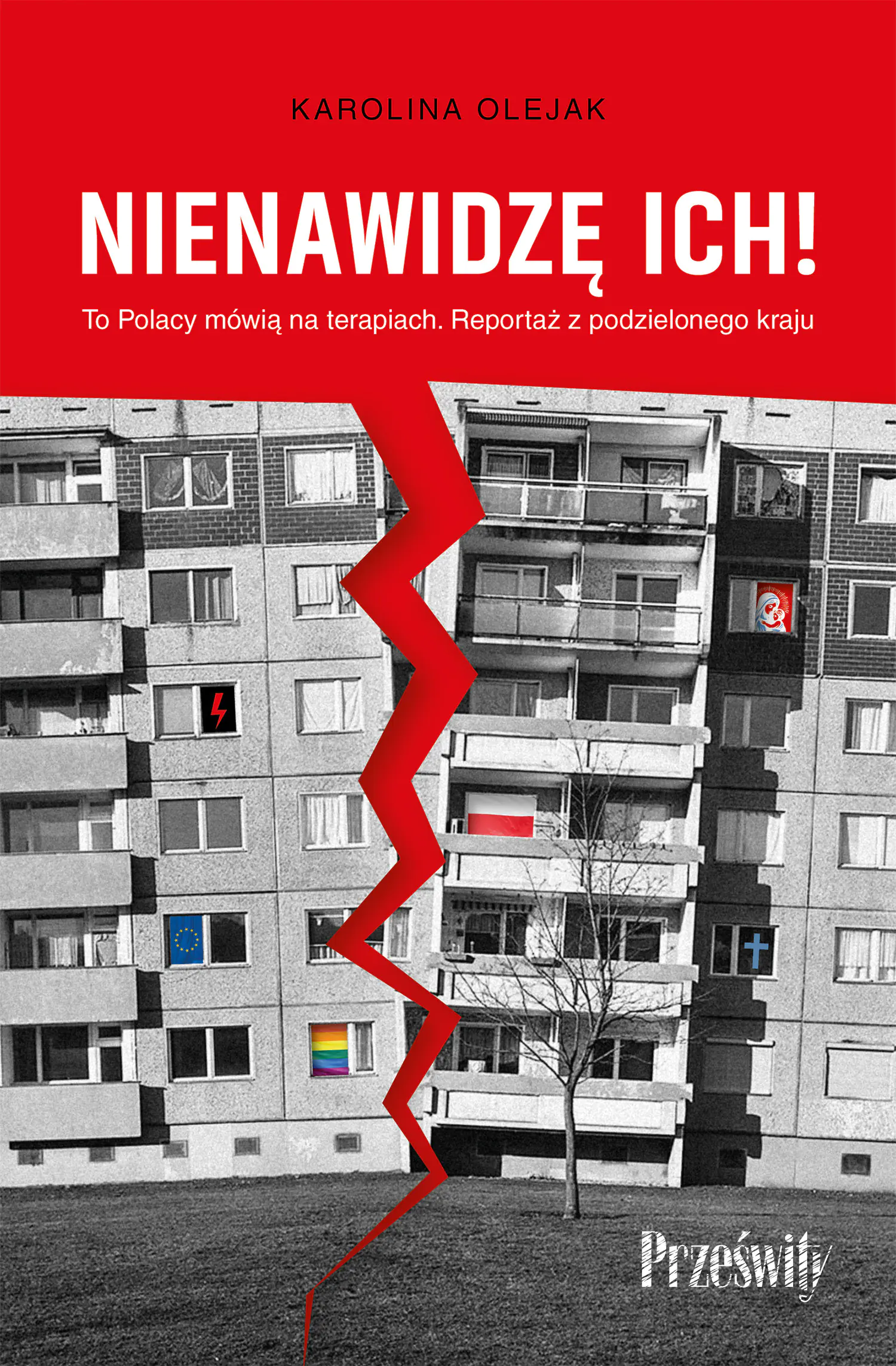Książka - Nienawidzę ich! To Polacy mówią na terapiach. Reportaż z podzielonego kraju