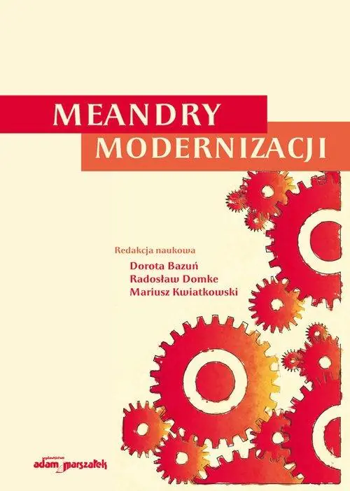 Książka - Meandry modernizacji