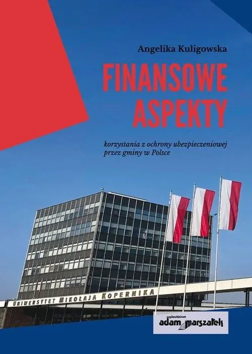 Książka - Finansowe aspekty korzystania z ochrony...