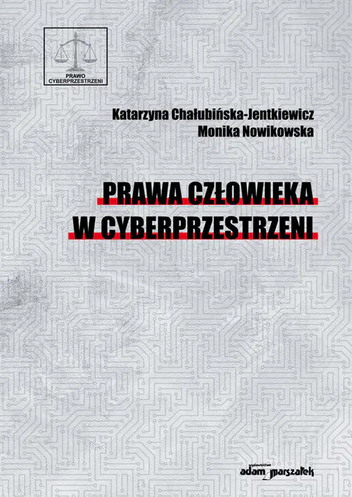 Książka - Prawa człowieka w cyberprzestrzeni
