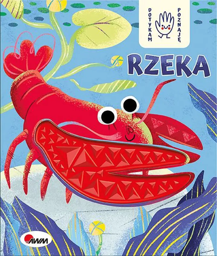Książka - Rzeka. Dotykam poznaję