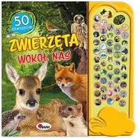 Książka - KSIĄŻECZKA Sensoryczna Dźwiękowa ZWIERZĘTA WOKÓŁ NAS 50 Dźwięków KSIĄŻKA