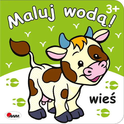 Książka - Maluj wodą wieś
