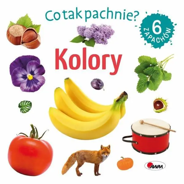 Książka - Kolory. Co tak pachnie?