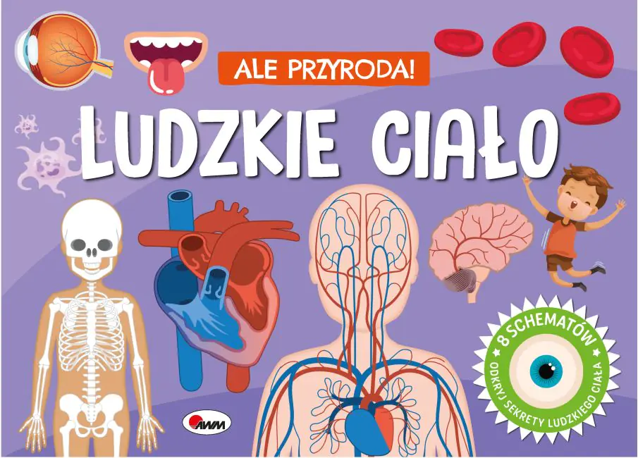Książka - KSIAZECZKA EDUK 255X185 OPR TW LUDZ CIALO 3D AWM