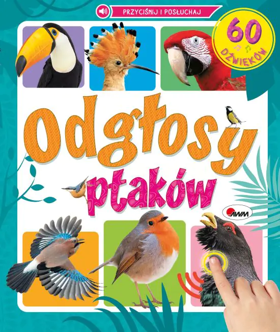 Książka - KSIAZECZKA EDUK 240X280 PDGLOSY PTAKOW AWM