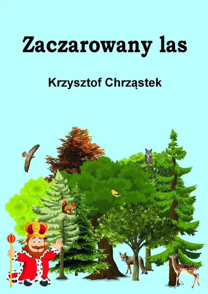 Książka - Zaczarowany las