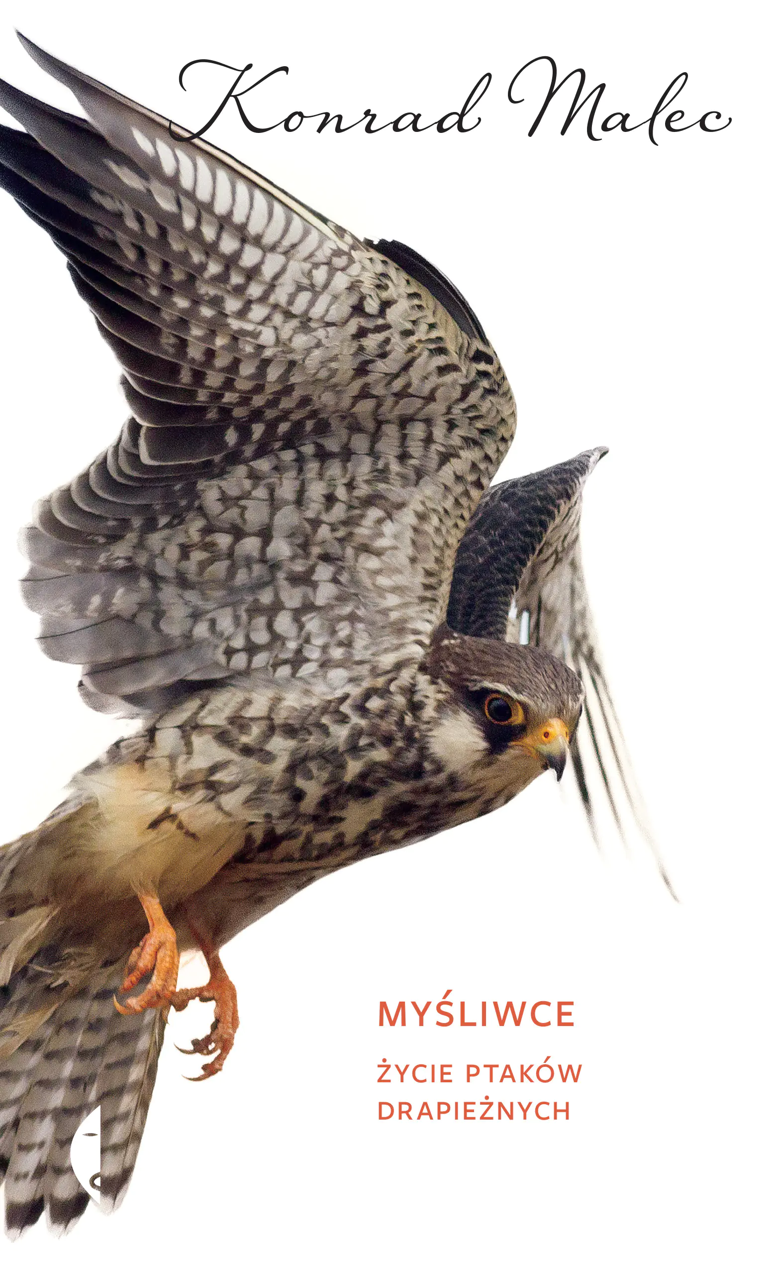 Książka - Myśliwce. Życie ptaków drapieżnych