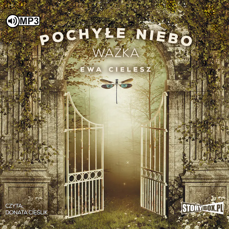 Książka - Ważka. Pochyłe niebo. Tom 3