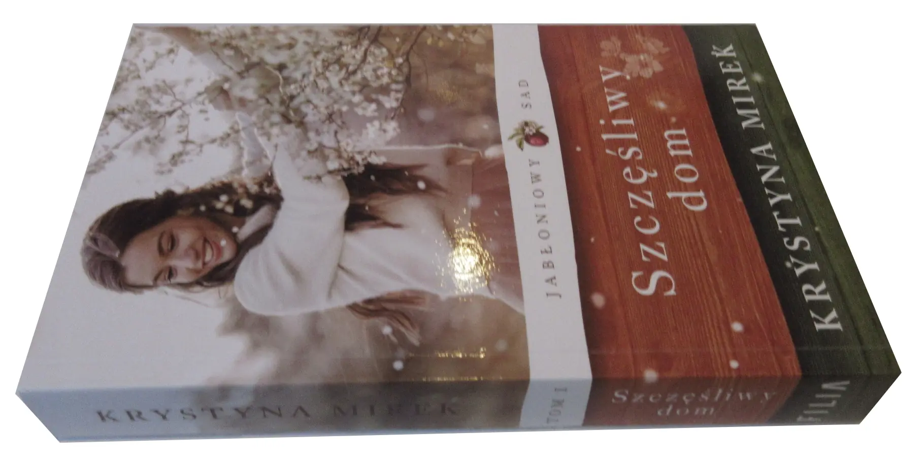 Książka - Szczęśliwy dom