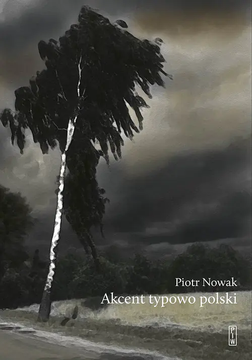 Książka - Akcent typowo polski. Szkice o kulturze Polaków