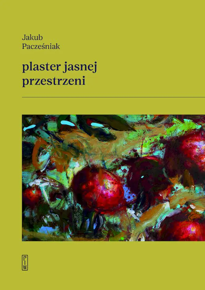 Książka - Plaster jasnej przestrzeni