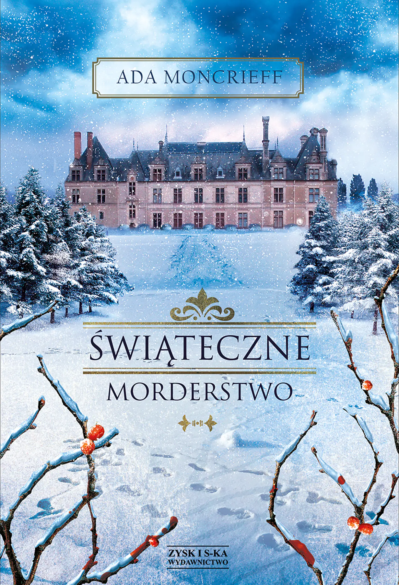 Książka - Świąteczne morderstwo