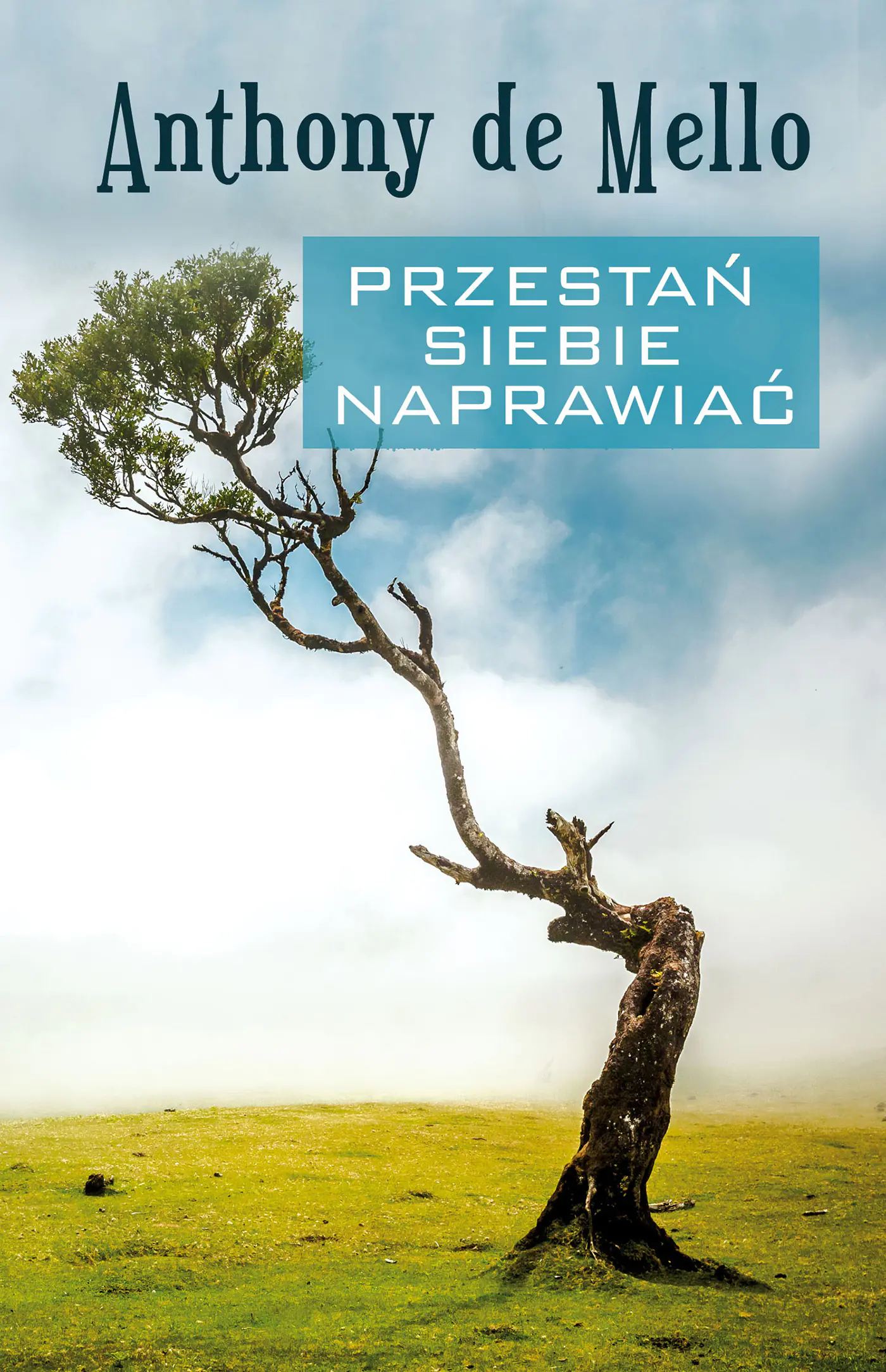 Książka - Przestań siebie naprawiać
