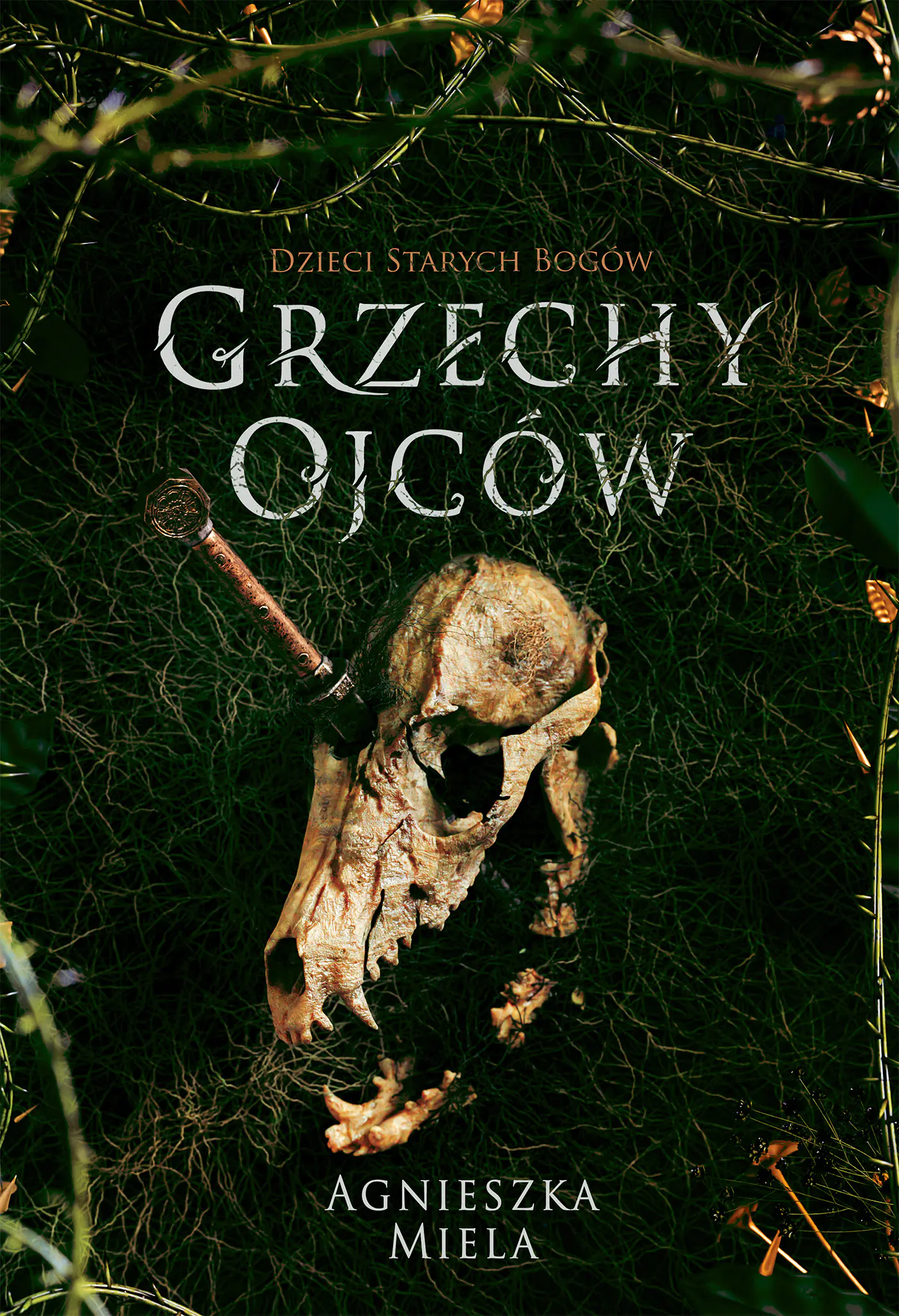 Książka - Grzechy ojców. Dzieci Starych Bogów. Tom 2