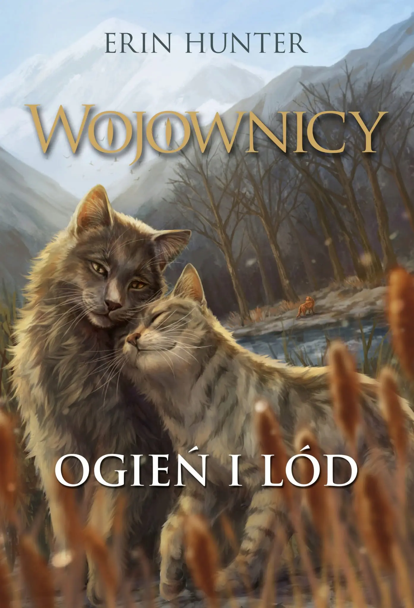 Książka - Ogień i lód. Wojownicy. Tom 2