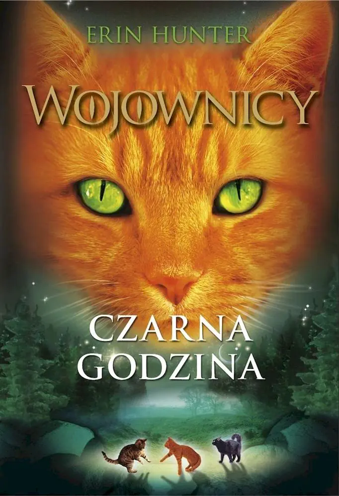 Książka - Czarna godzina. Wojownicy. Tom 6