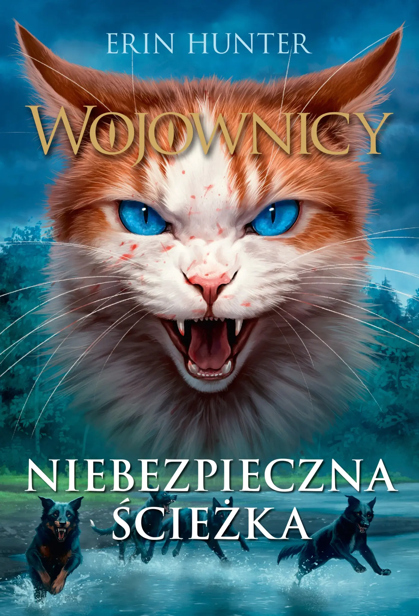 Książka - Niebezpieczna ścieżka. Wojownicy. Tom 5