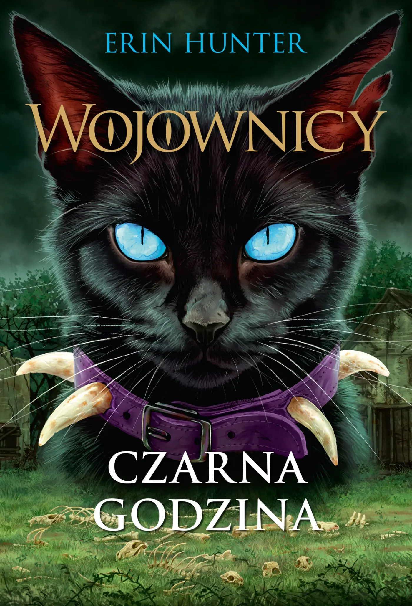 Książka - Wojownicy T.6 Czarna godzina