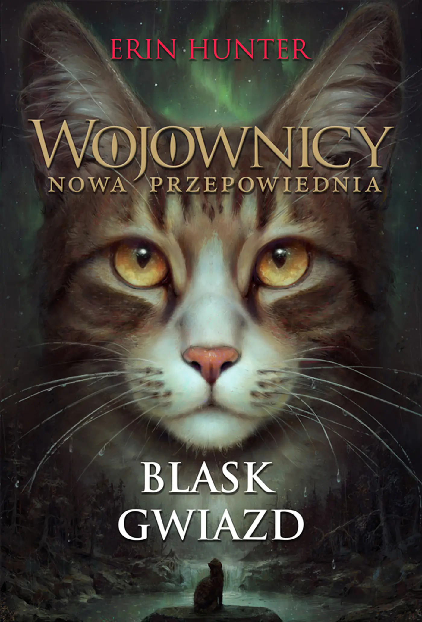 Książka - Blask gwiazd. Wojownicy. Nowa Przepowiednia. Tom 4