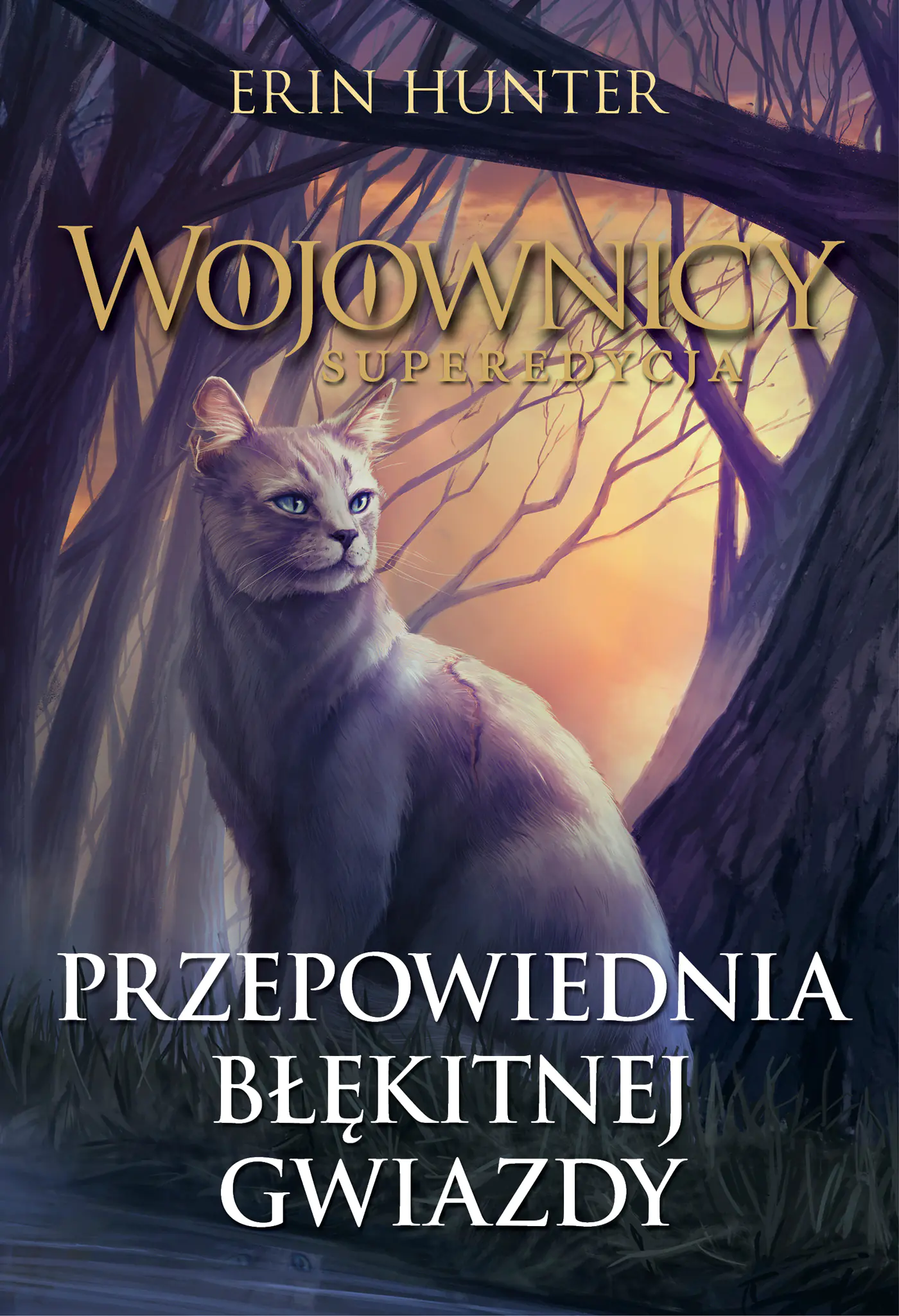 Książka - Wojownicy.Przepowiednia Błękitnej Gwiazdy w.2022