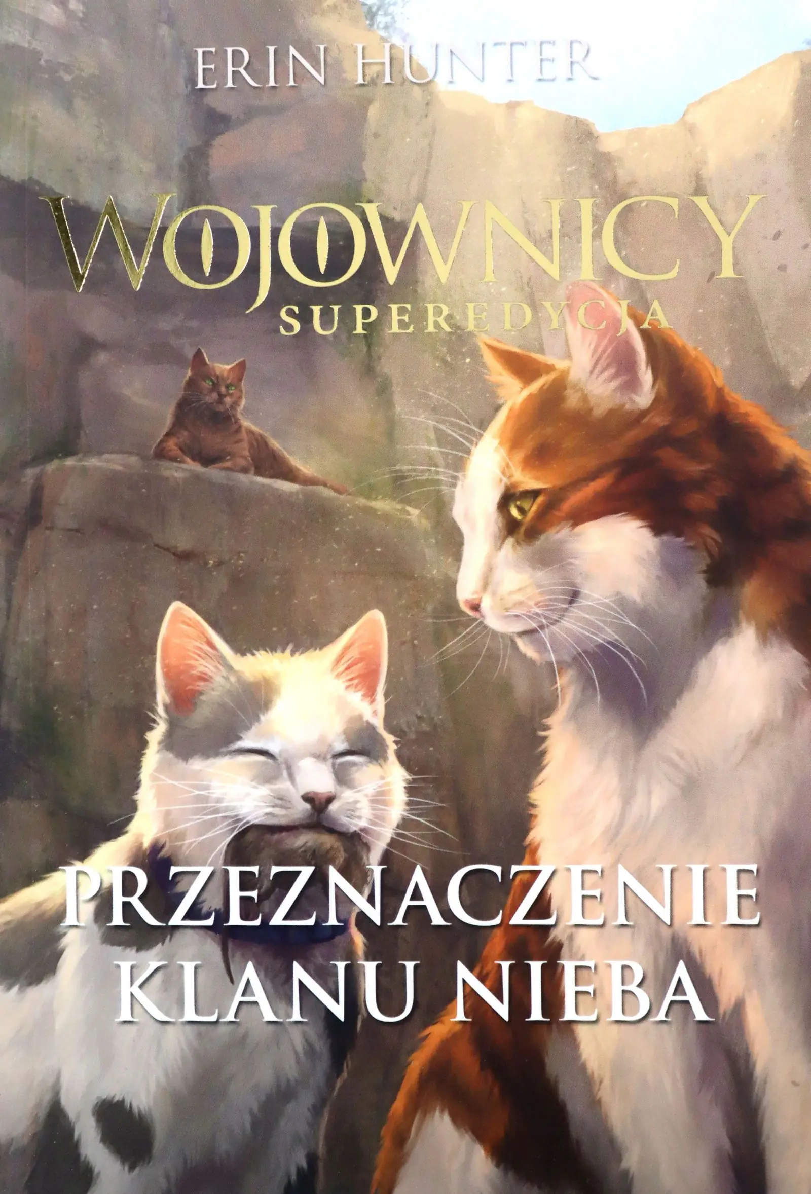 Książka - Przeznaczenie Klanu Nieba. Wojownicy. Superedycja