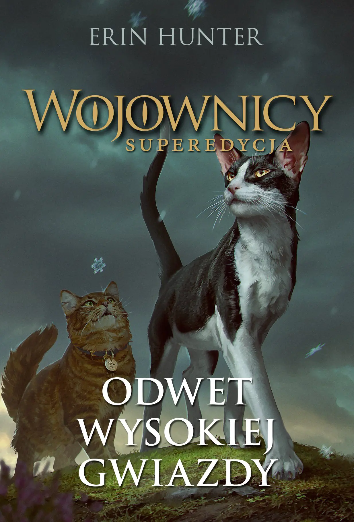 Książka - Odwet Wysokiej Gwiazdy. Wojownicy. Superedycja. Tom 4