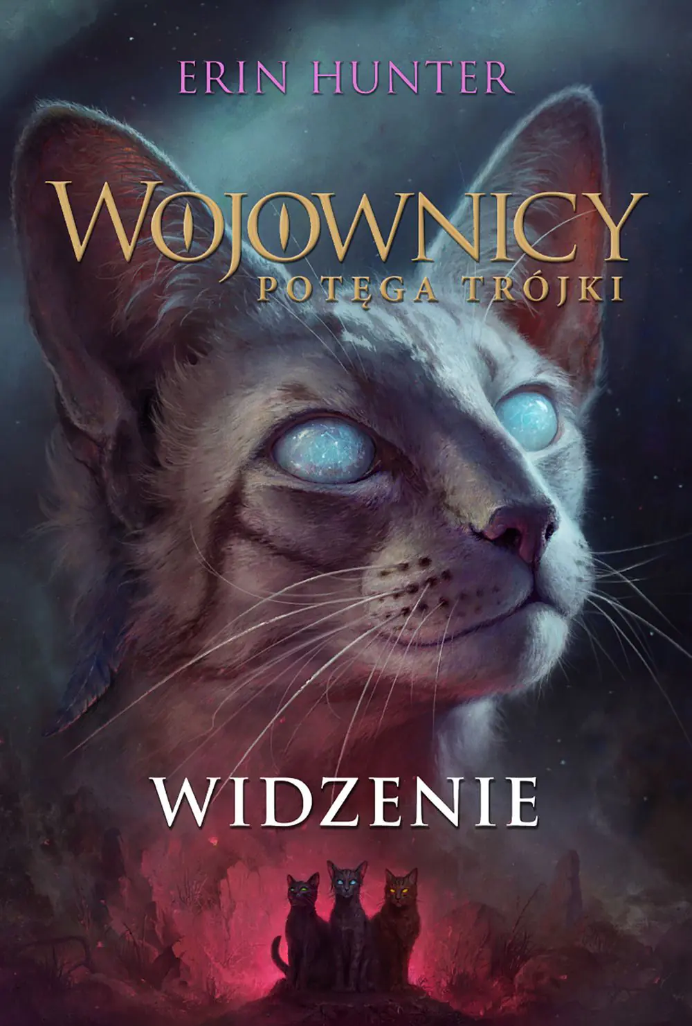Książka - Widzenie. Wojownicy. Potęga Trójki. Tom 1