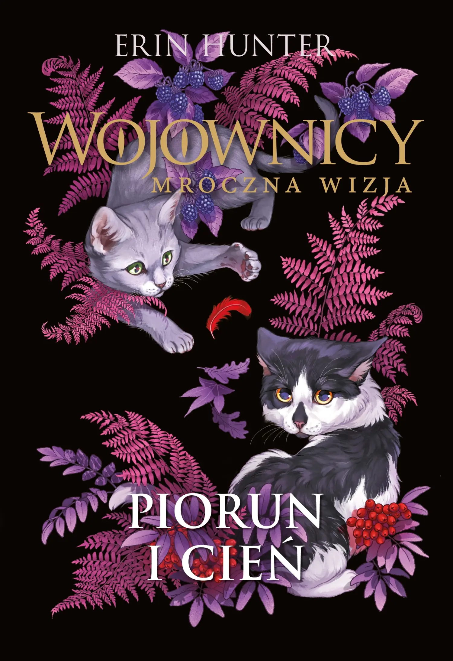Książka - Piorun i cień. Wojownicy. Mroczna wizja. Tom 2