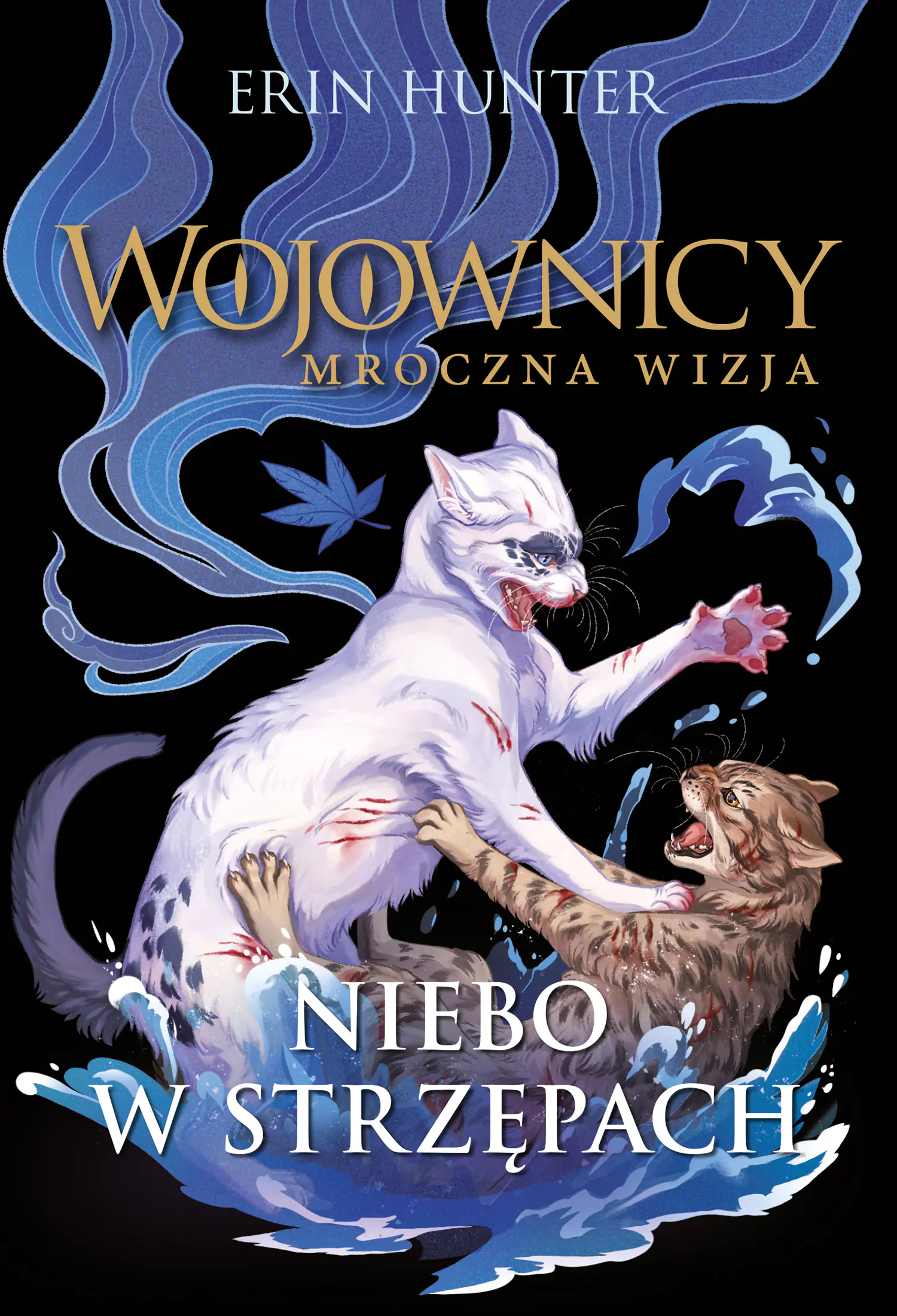 Książka - Niebo w strzępach. Cykl Wojownicy. Mroczna wizja. Tom 3