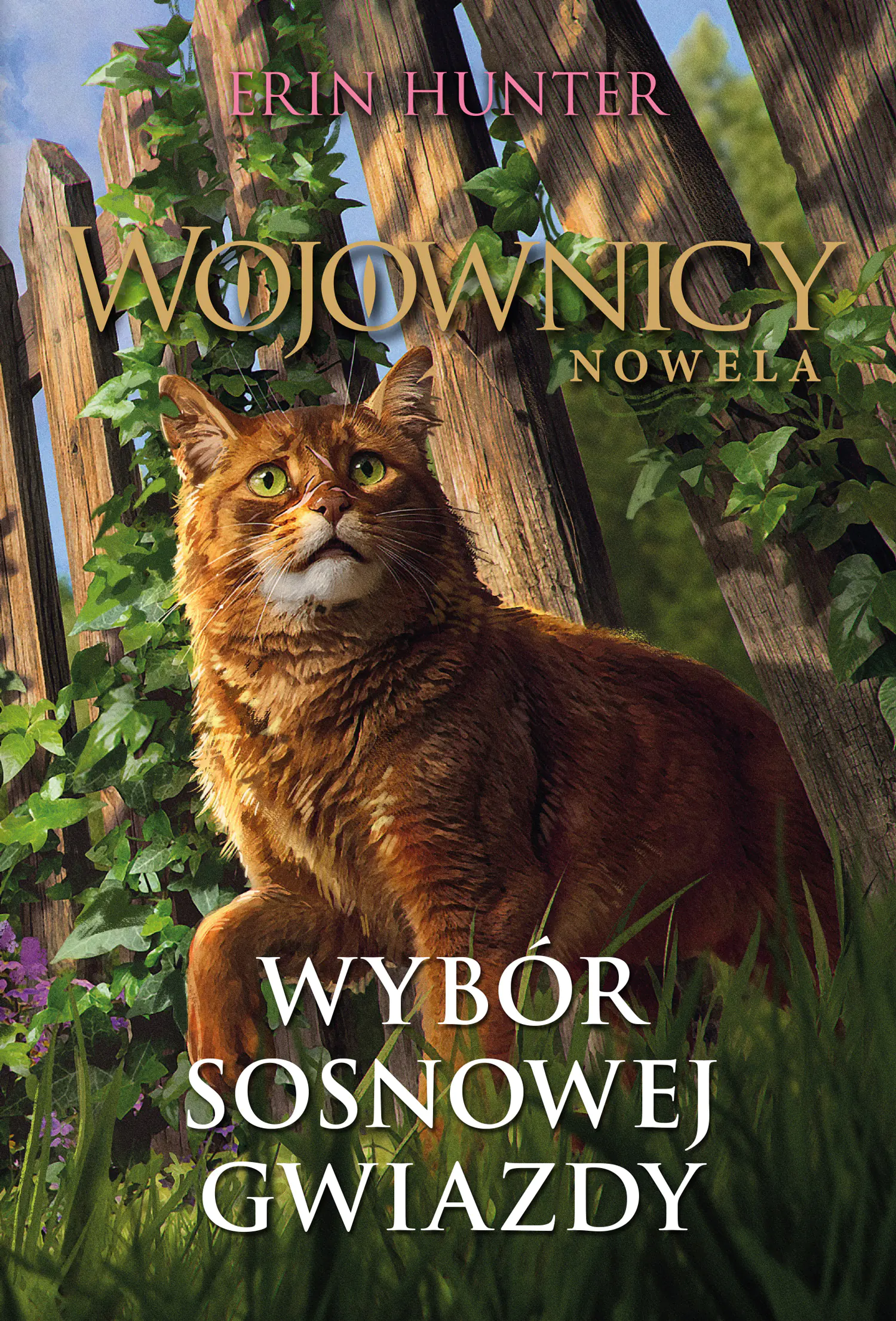 Książka - Wybór Sosnowej Gwiazdy. Cykl Wojownicy. Nowela