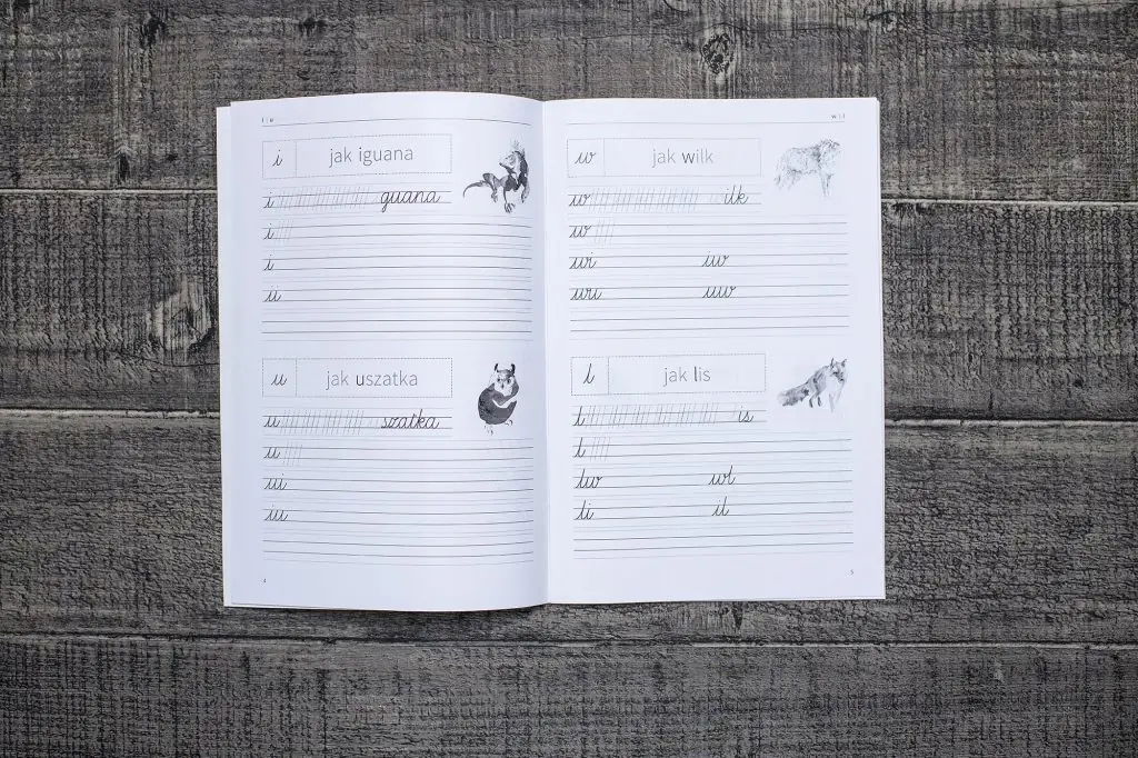 Książka - Elementarz do nauki pisania i czytania