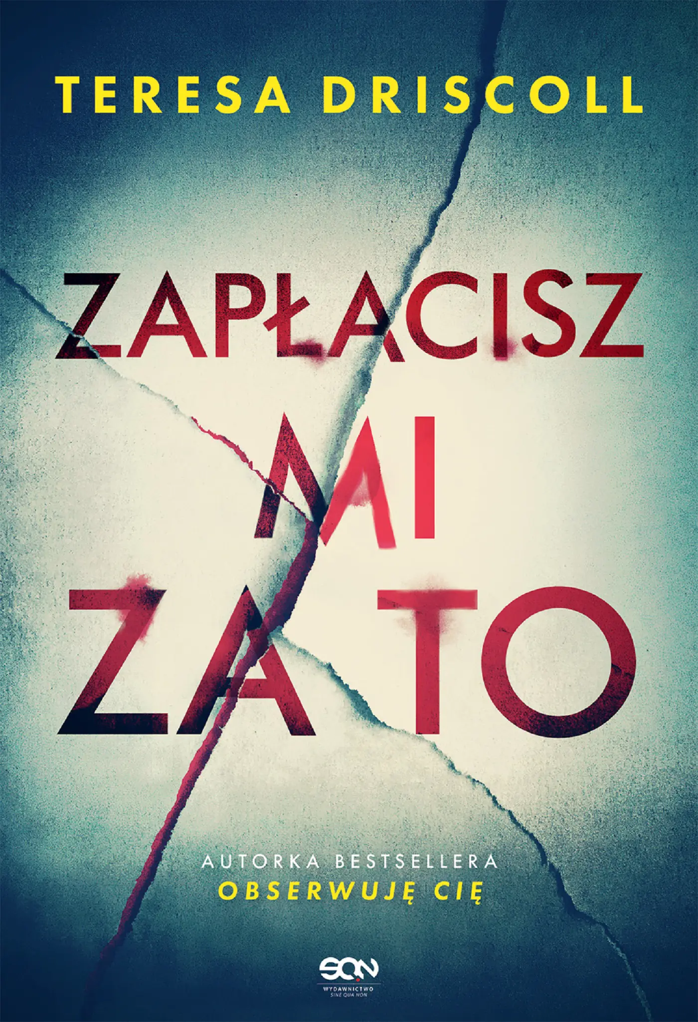 Książka - Zapłacisz mi za to