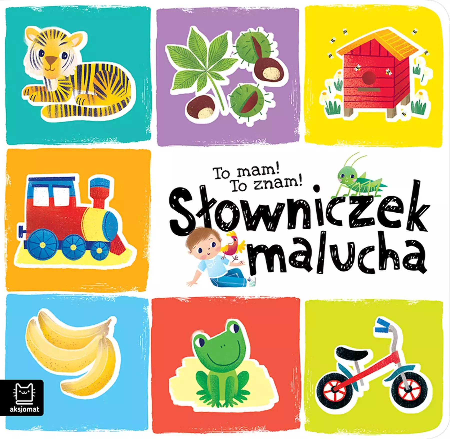 Książka - To mam! To znam! Słowniczek malucha
