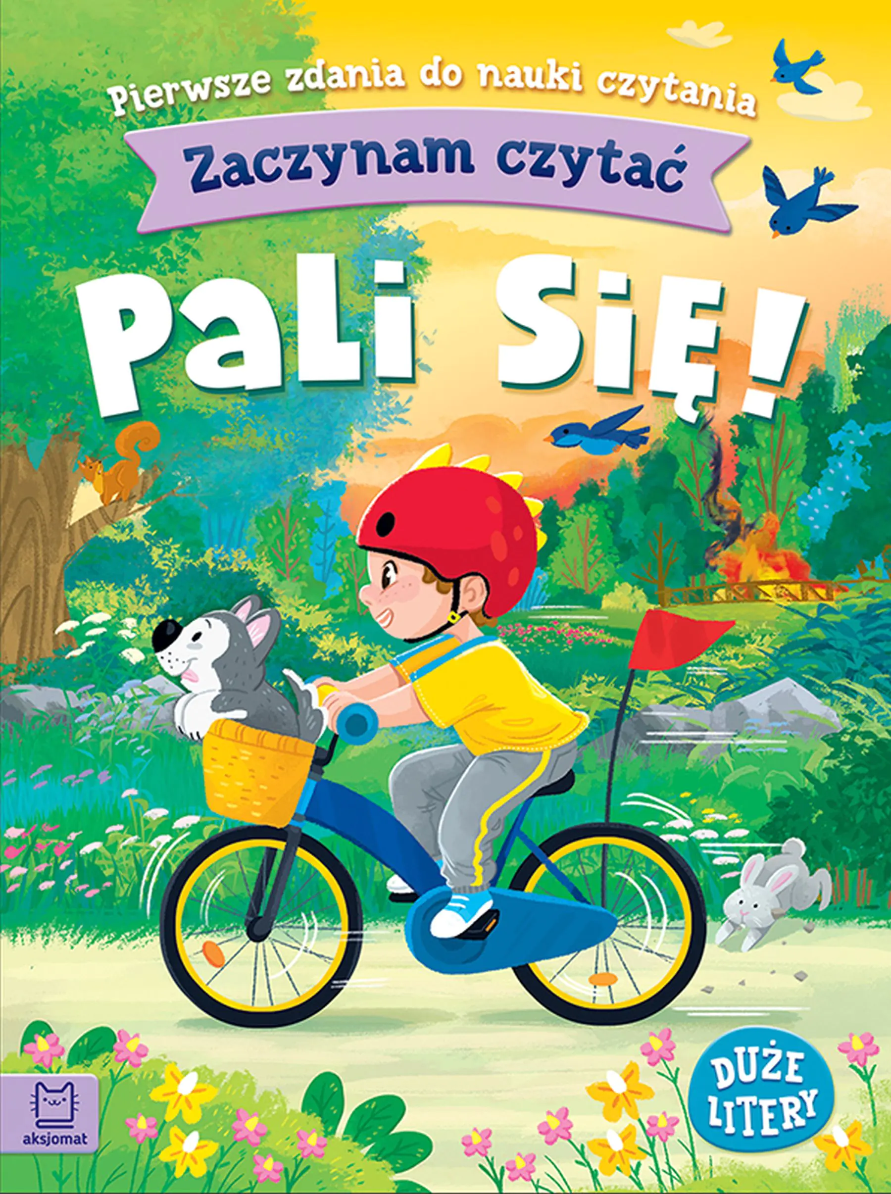Książka - Zaczynam czytać pali się