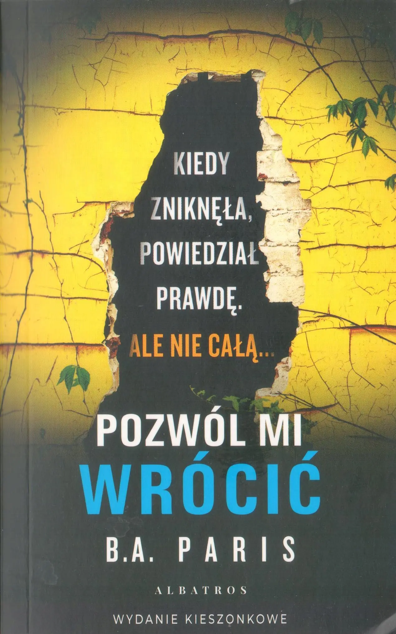 Książka - Pozwól mi wrócić