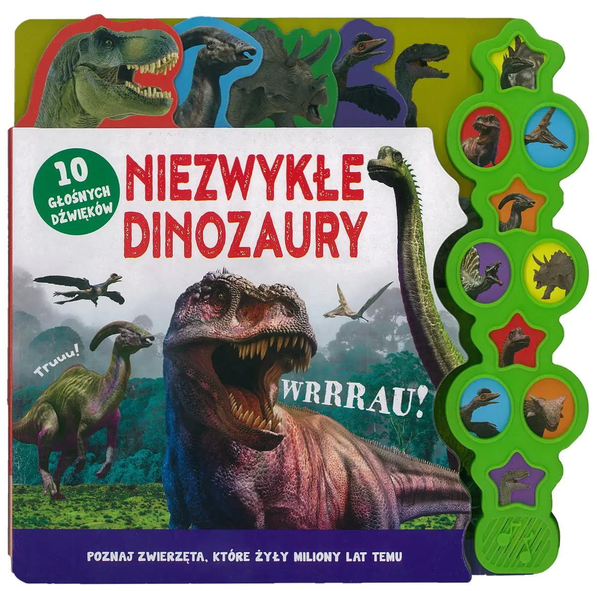 Książka - Niezwykłe dinozaury