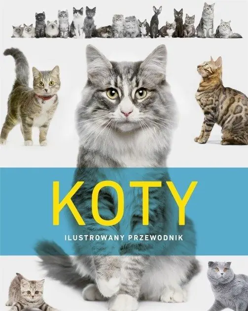 Książka - Koty. Ilustrowany przewodnik
