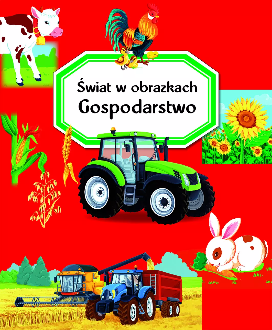 Książka - Gospodarstwo. Świat w obrazkach