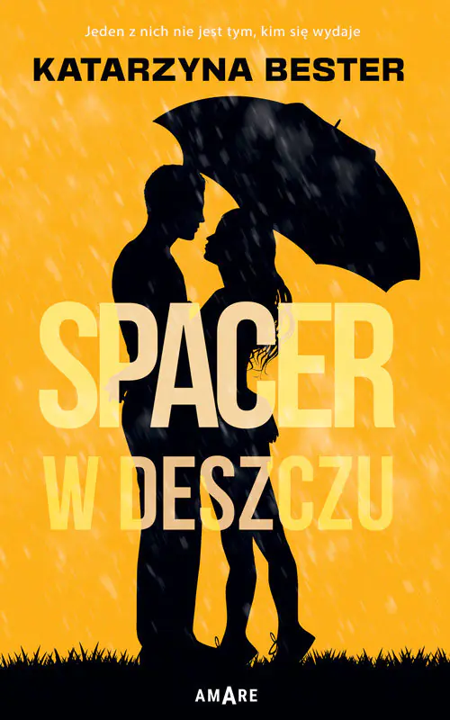 Książka - Spacer w deszczu