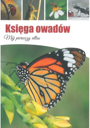 Książka - Księga owadów. Mój pierwszy atlas