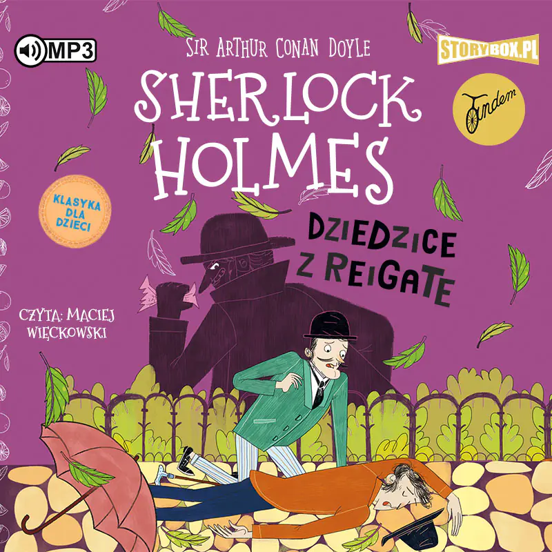 Książka - Dziedzice z Reigate. Klasyka dla dzieci. Sherlock Holmes. Tom 6