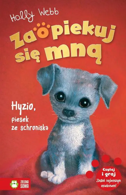 Hyzio, piesek ze schroniska. Zaopiekuj się mną