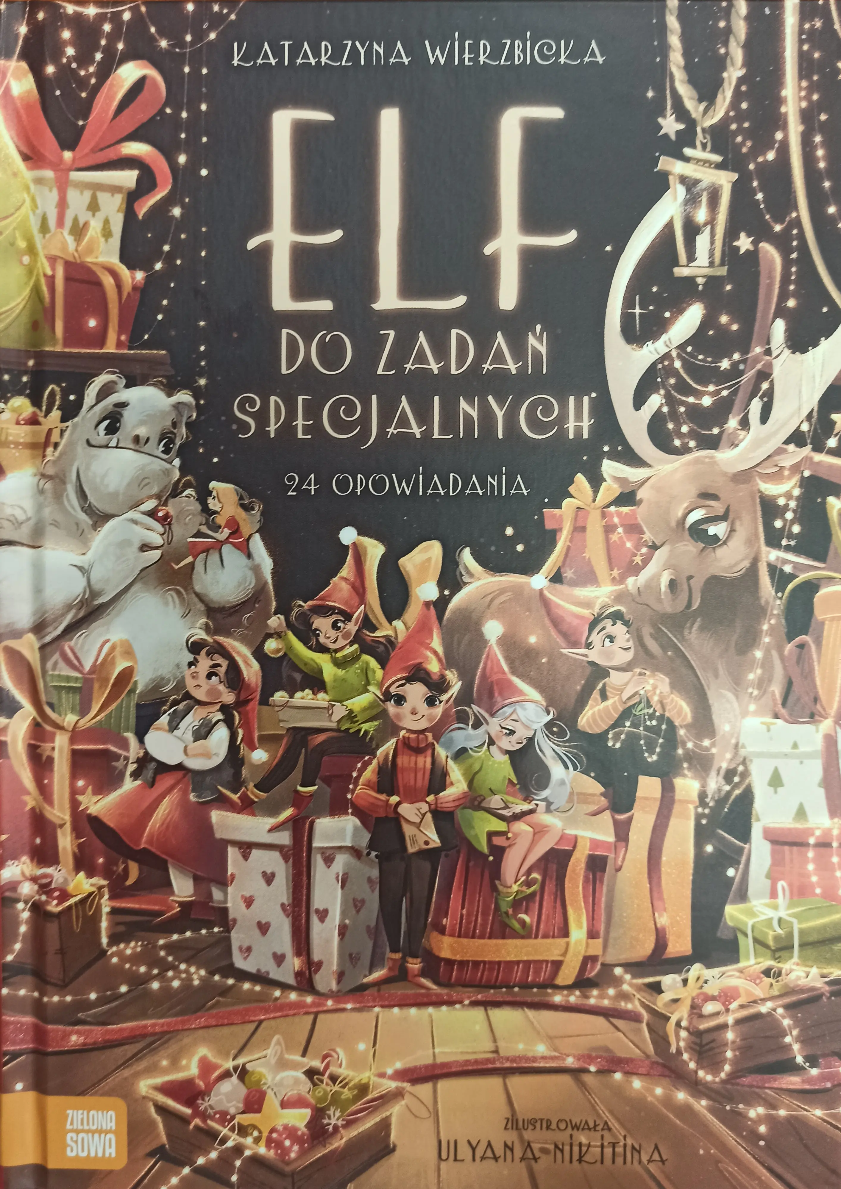 Książka - Elf do zadań specjalnych
